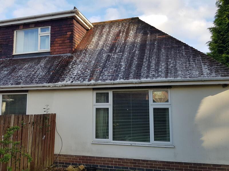 bungalow-roof-black-algae-streaks