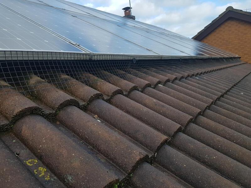 wire-mesh-bird-proofing-under-solar-panels